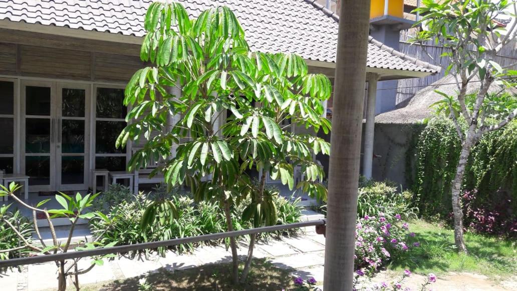 Vista Huts Lembongan Hotel Luaran gambar